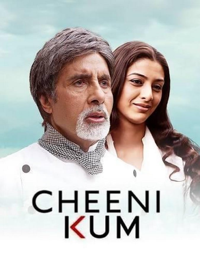 An architectural review of Cheeni Kum-Sheet1