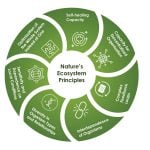 Build the Future from the Greatest Teacher - Nature-Sheet1