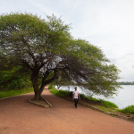 The Real Reason Public Spaces in India Are Shrinking-Sheet6
