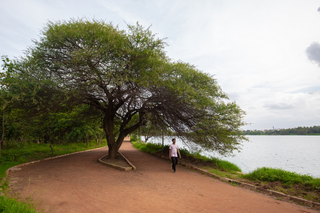 The Real Reason Public Spaces in India Are Shrinking-Sheet6