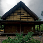 How Architecture and Design Get Shaped By Climate-Sheet2
