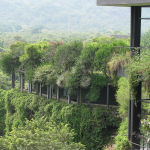 How Architecture and Design Get Shaped By Climate-Sheet7