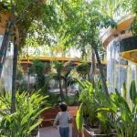 The Forgotten Architecture of Shade: From Living Canopies to Air-Conditioned Cities Relearning Nature’s Wisdom for a Warming World-Sheet2