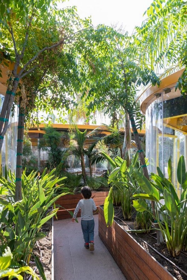 The Forgotten Architecture of Shade: From Living Canopies to Air-Conditioned Cities Relearning Nature’s Wisdom for a Warming World-Sheet2