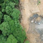 Designing with Non-Human Rights Rivers, Forests, and Species as Legal Stakeholders in Projects-Sheet1