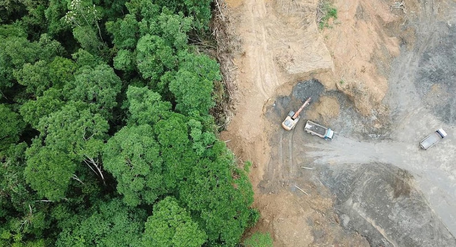 Designing with Non-Human Rights Rivers, Forests, and Species as Legal Stakeholders in Projects-Sheet1