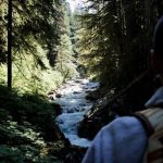 Designing with Non-Human Rights Rivers, Forests, and Species as Legal Stakeholders in Projects-Sheet6