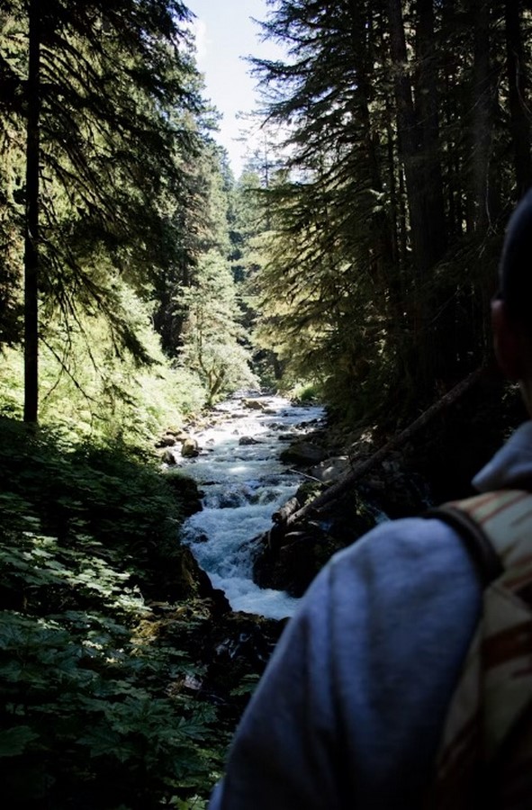 Designing with Non-Human Rights Rivers, Forests, and Species as Legal Stakeholders in Projects-Sheet6