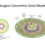 Adaptive Reuse of Ecosystems-Sheet3