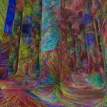 Teamlab Phenomena, Abu Dhabi-Sheet6