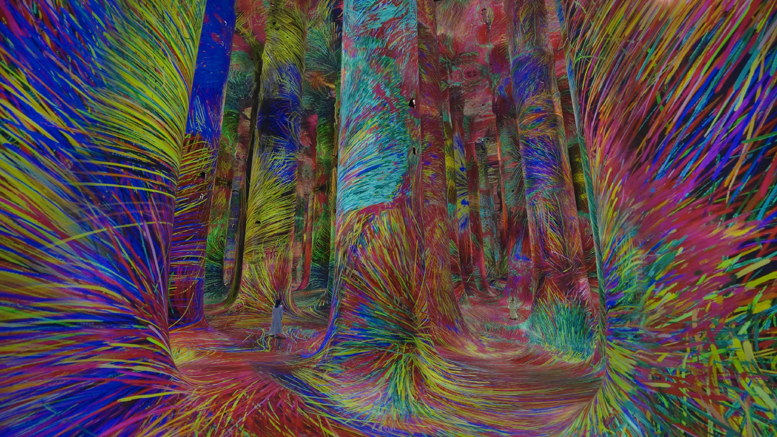 Teamlab Phenomena, Abu Dhabi-Sheet6