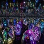 Teamlab Phenomena, Abu Dhabi-Sheet7