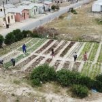 What informal settlements can teach professional architecture about resilience-Sheet4