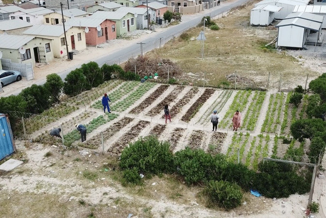 What informal settlements can teach professional architecture about resilience-Sheet4
