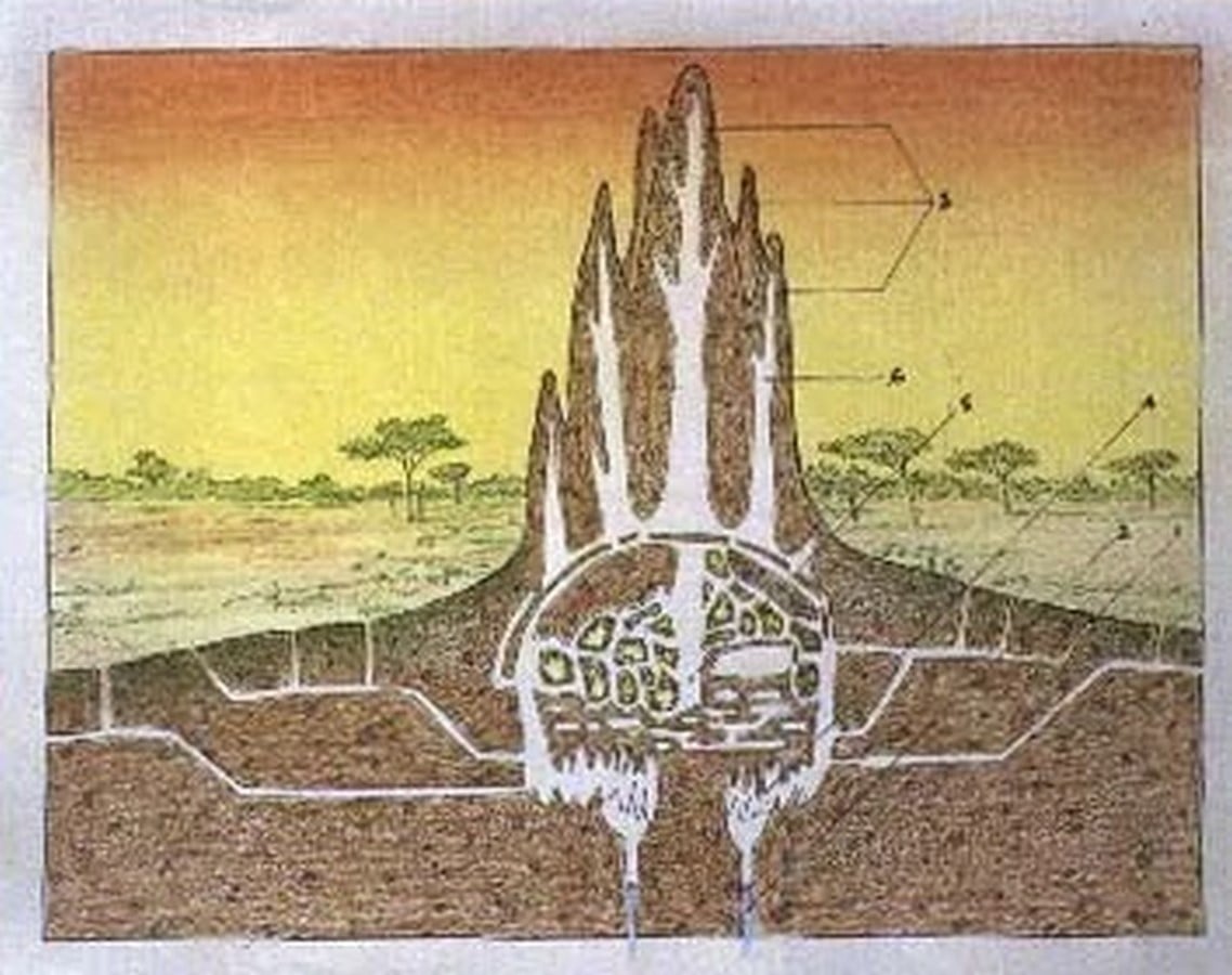 An Anthill’s Lessons-Sheet2