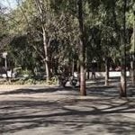 Drawing the Invisible Why Smell Deserves a Place in Architectural Thinking-Sheet5