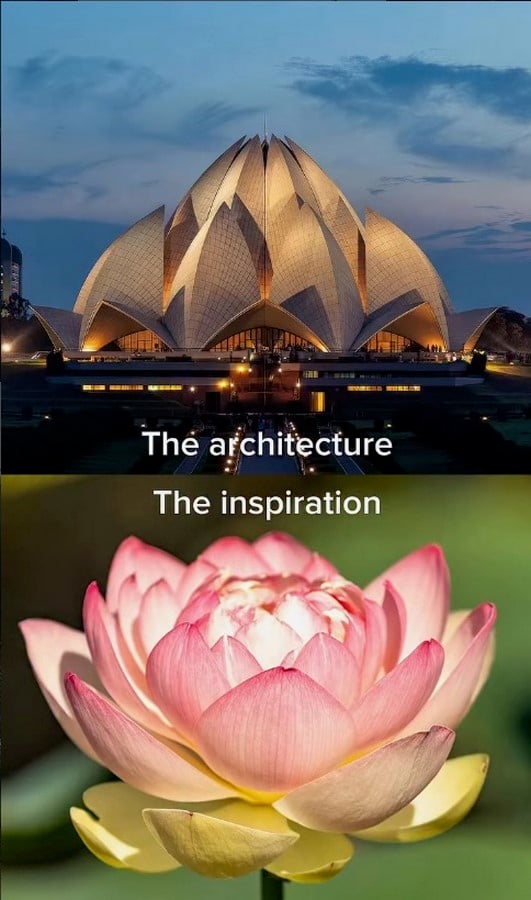 The Weirdest Buildings Inspired by Animals and Insects-Sheet2