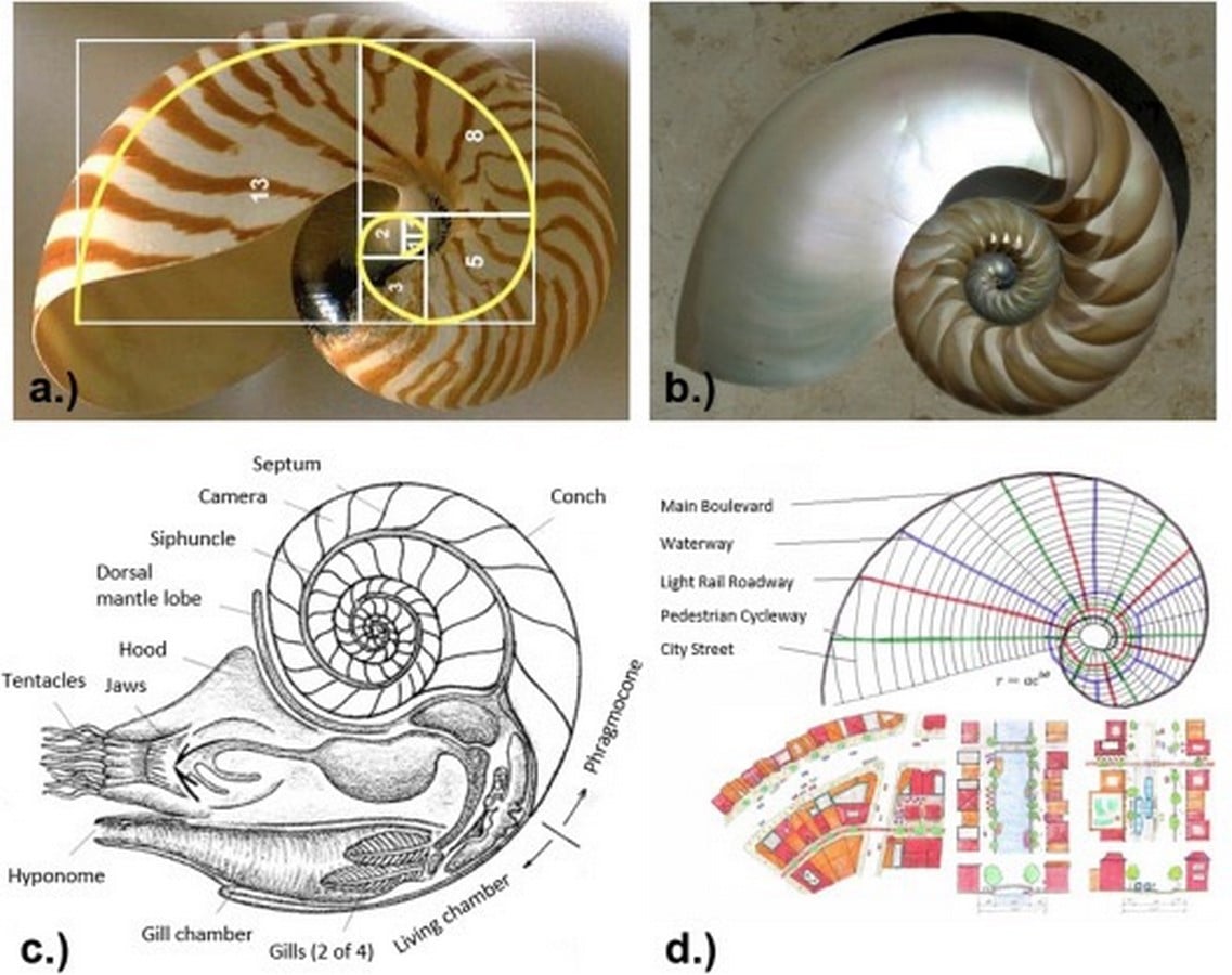 The Weirdest Buildings Inspired by Animals and Insects-Sheet4