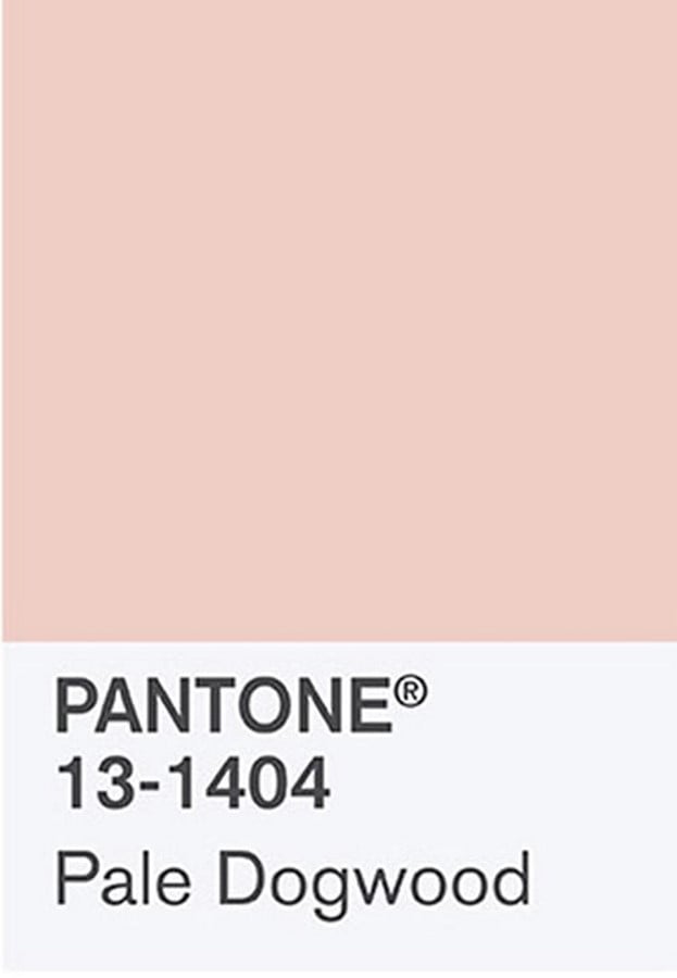 How Color Choices in Interiors Are Shaped by Advertising Trends-Sheet6