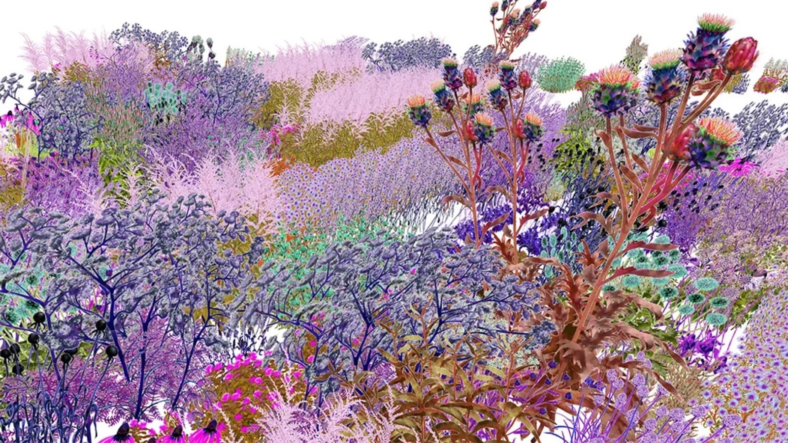 Meet the Designers Bringing Insect and Animal Logic into Product Design-Sheet2