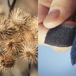 Meet the Designers Bringing Insect and Animal Logic into Product Design-Sheet3