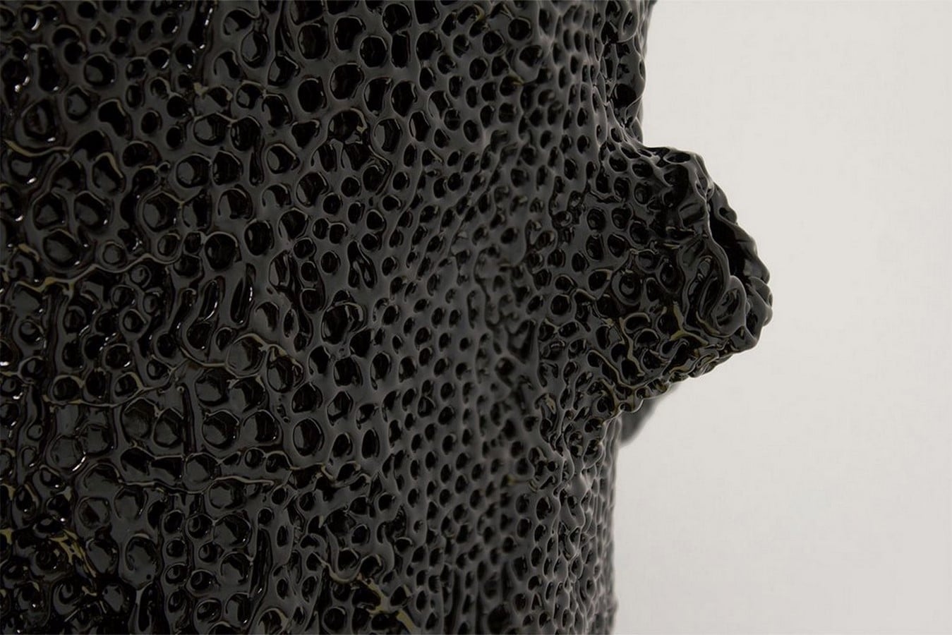 Meet the Designers Bringing Insect and Animal Logic into Product Design-Sheet6
