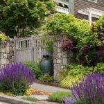 Rethinking the front lawn architecture is most wasteful tradition-Sheet3