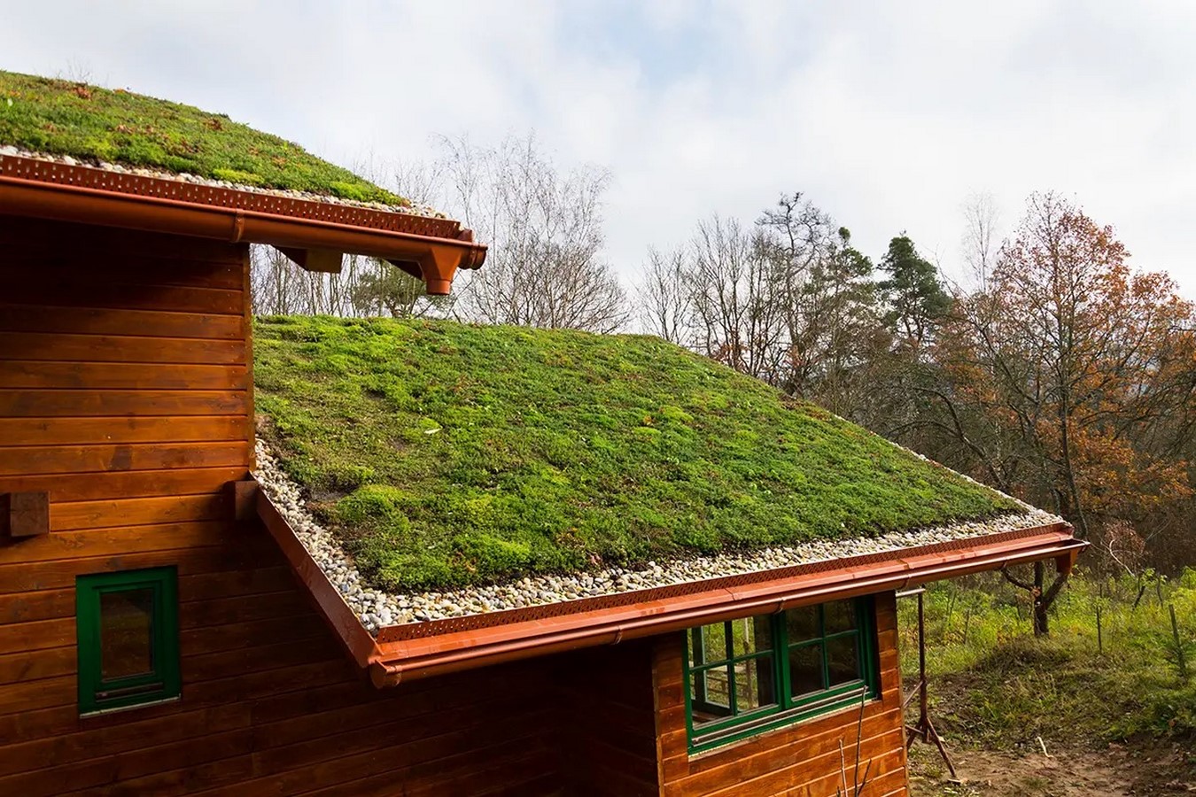 Greenwashing Detectors How Writers and Critics Can Expose Superficial Sustainability Claims-Sheet1
