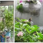 Can a Building Be an Ecosystem? Designing Façades as Habitats for Non-Humans-Sheet4