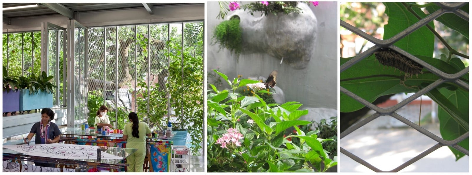 Can a Building Be an Ecosystem? Designing Façades as Habitats for Non-Humans-Sheet4
