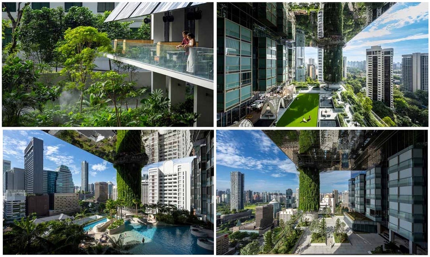 Can a Building Be an Ecosystem? Designing Façades as Habitats for Non-Humans-Sheet7