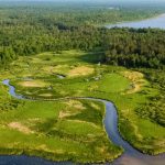 Designing with Non-Human Rights Rivers, Forests, and Species as Legal Stakeholders in Projects-Sheet2
