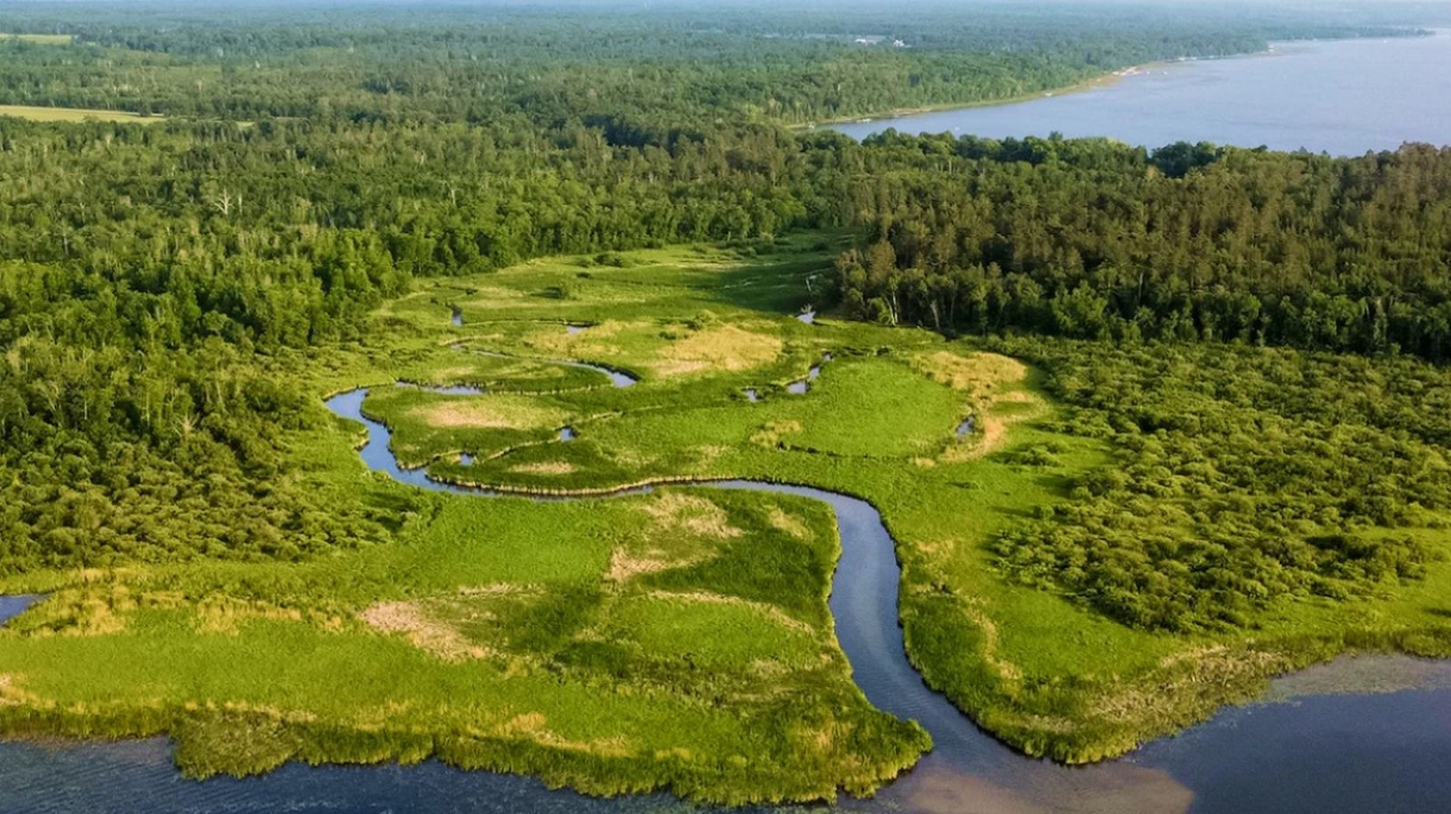 Designing with Non-Human Rights Rivers, Forests, and Species as Legal Stakeholders in Projects-Sheet2