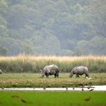 Designing with Non-Human Rights Rivers, Forests, and Species as Legal Stakeholders in Projects-Sheet4
