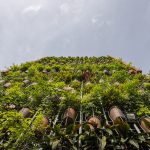 Flying Vegetation by H&P Architects-Sheet2