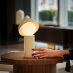 A LITTLE LIGHT, WITH A LOT OF CHARACTER Aurora La Petite by Mr. Light Illumination-Sheet1