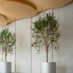 Ouse Fashion Lobby by say architects-Sheet4