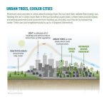 Planned Green Lungs The Politics of Land, Preservation and Long-Term Urban Ecological Infrastructure-Sheet2