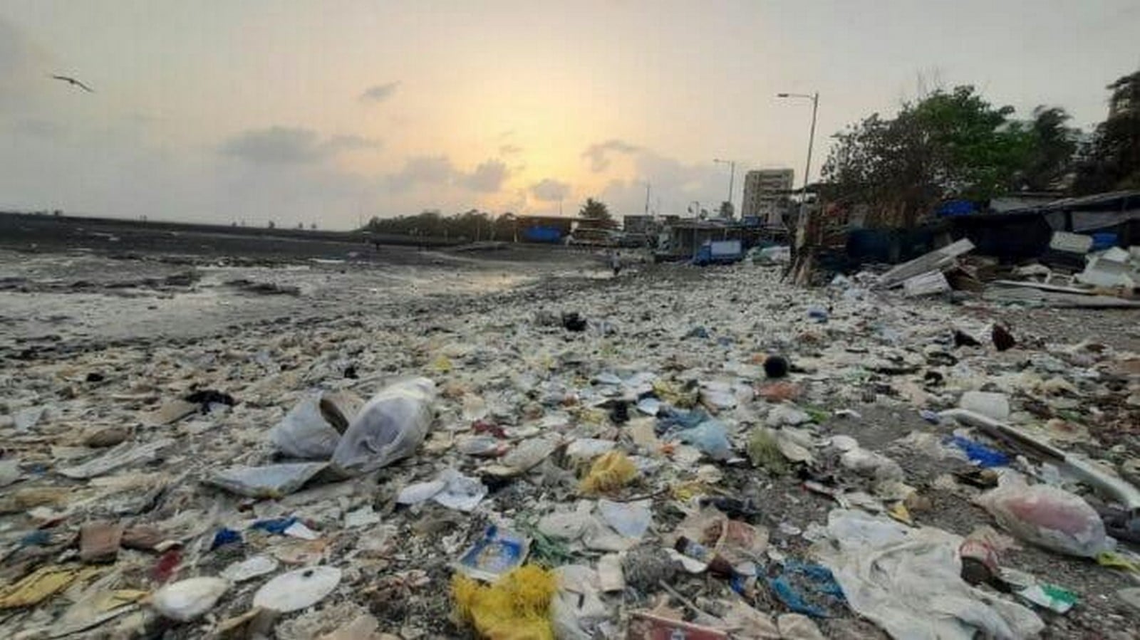 Mumbai’s Koli Communities Life Between the City and the Sea-Sheet4