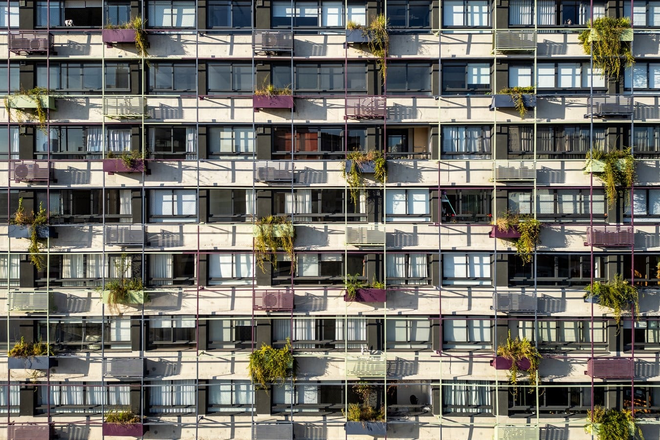 Floresta by MMBB Architecture + Rodrigo Oliveira Landscaping-Sheet8