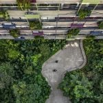 Floresta by MMBB Architecture + Rodrigo Oliveira Landscaping-Sheet9