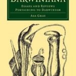 Ideology and Philosophy Åsa Gray-Sheet4