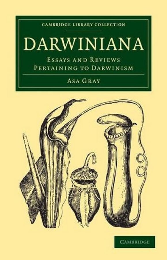 Ideology and Philosophy Åsa Gray-Sheet4